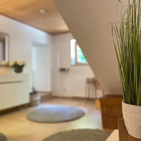 Wundervoll Eben - & Plaetze Voller Wunder - Notschkerl & Feinis