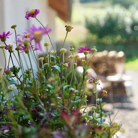 Wundervoll Eben - & Plaetze Voller Wunder - Notschkerl & Feinis * Waasen