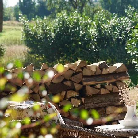 Wundervoll Eben - & Plaetze Voller Wunder - Notschkerl & Feinis *