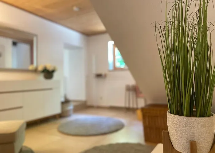 Wundervoll Eben - & Plaetze Voller Wunder - Notschkerl & Feinis